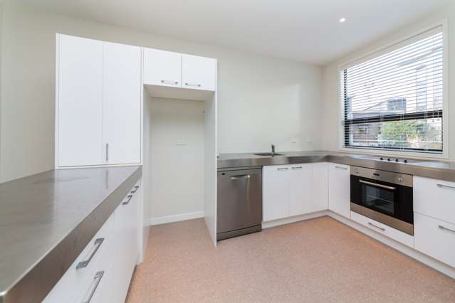 68 Harold Street Mount Eden_2