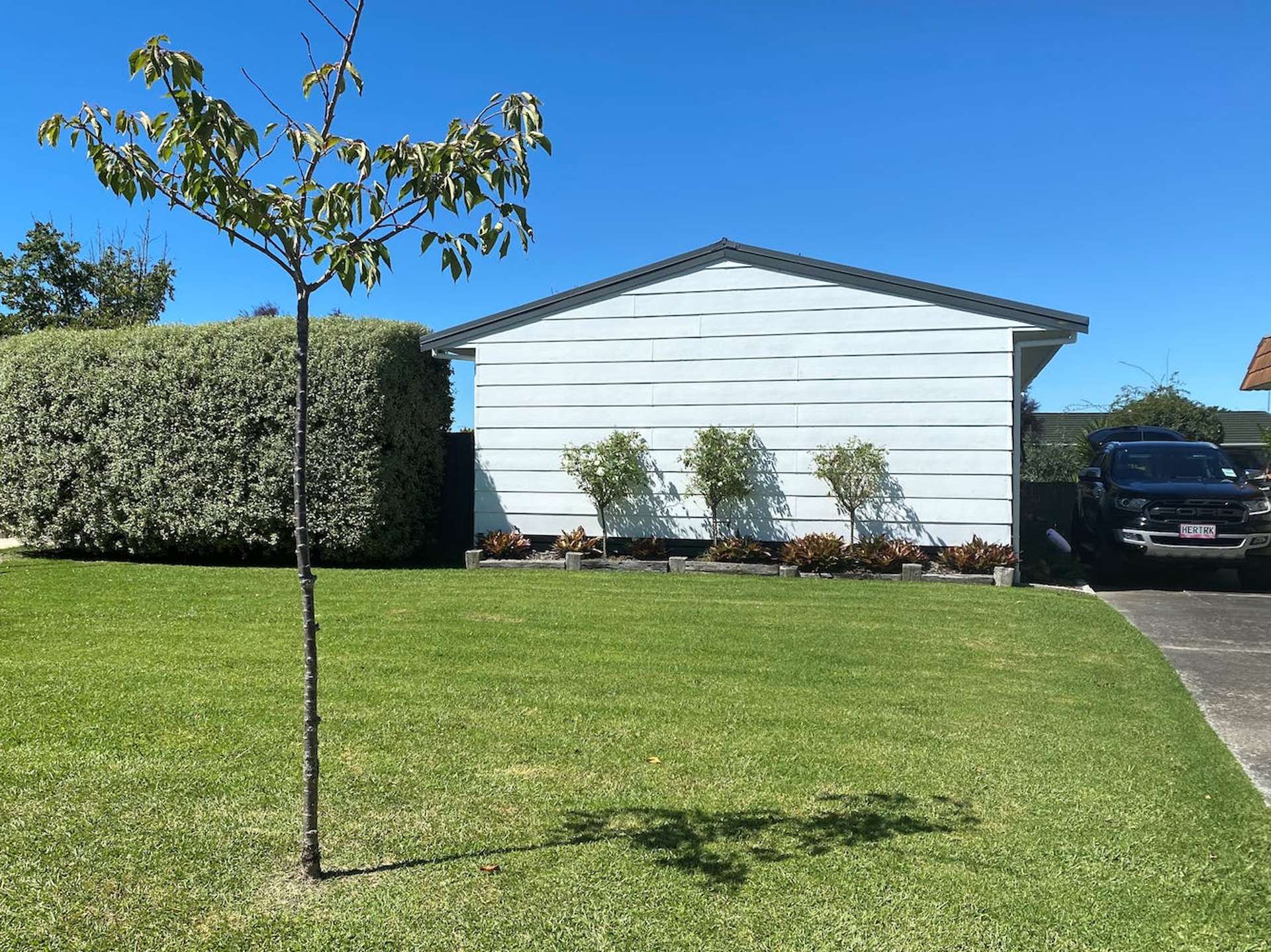 5 Titoki Place Edgecumbe Whakatāne Houses for Sale One Roof