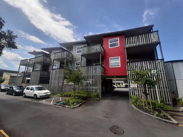 Albany - Modern apartment in great location