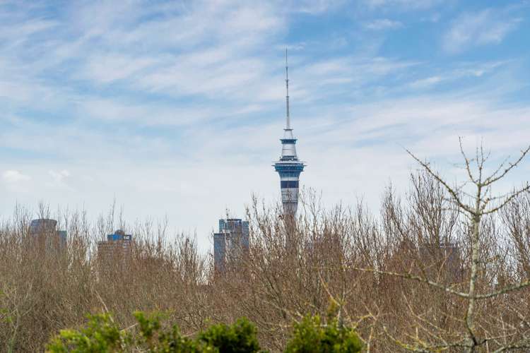 56a Wellpark Avenue Grey Lynn_23