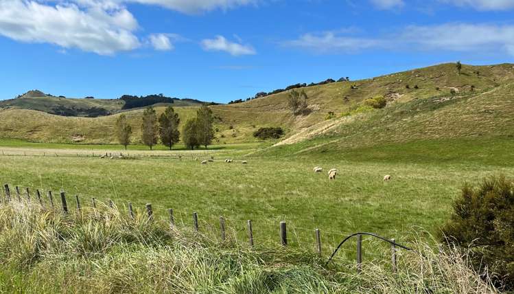 1137 Wimbledon Road Porangahau_8