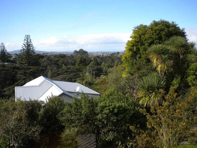 135 Birkenhead Avenue Birkenhead_7