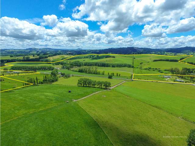 269 Kokopu Block Road Kokopu_1