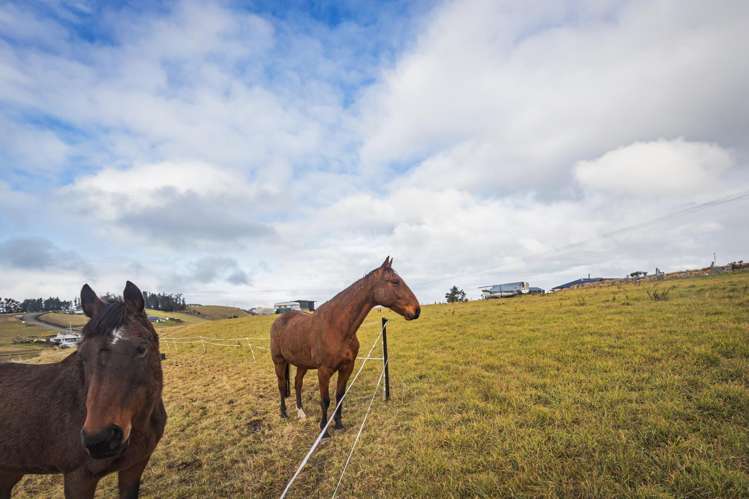 Lot 4 Pukeko Lane Waiareka Junction_10