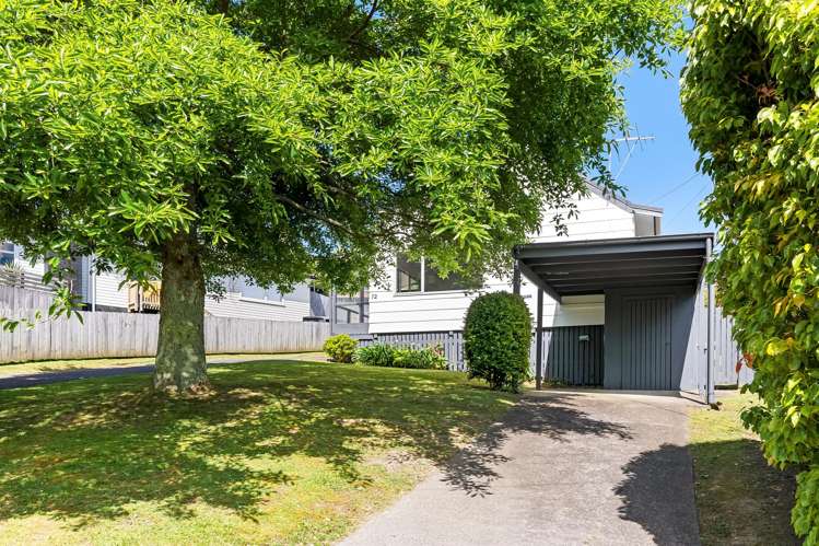 72 Vodanovich Road Te Atatu South_18