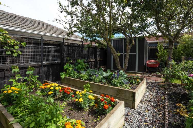 23 Coronation Street Spreydon_25