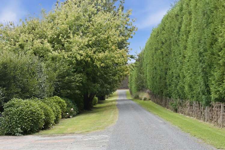 151a Hereford Road Oropi_17