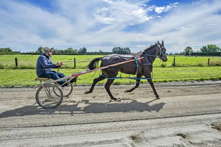 139 Harmans Road Leeston_25