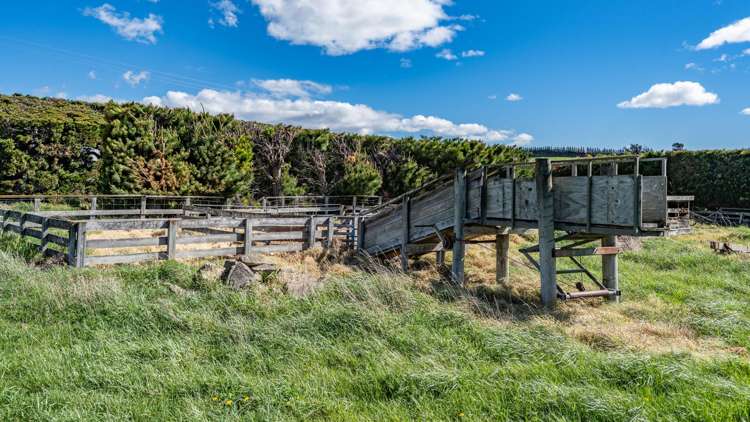 44 Limeworks Road Pyramid Valley_36