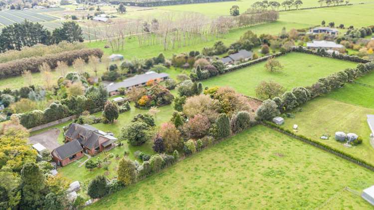 275 Kimberley Road Levin_4