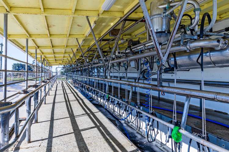 558 Mcleays Road Morven_9