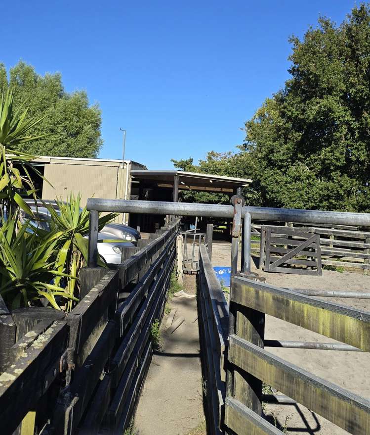 103 East Road Stratford_14