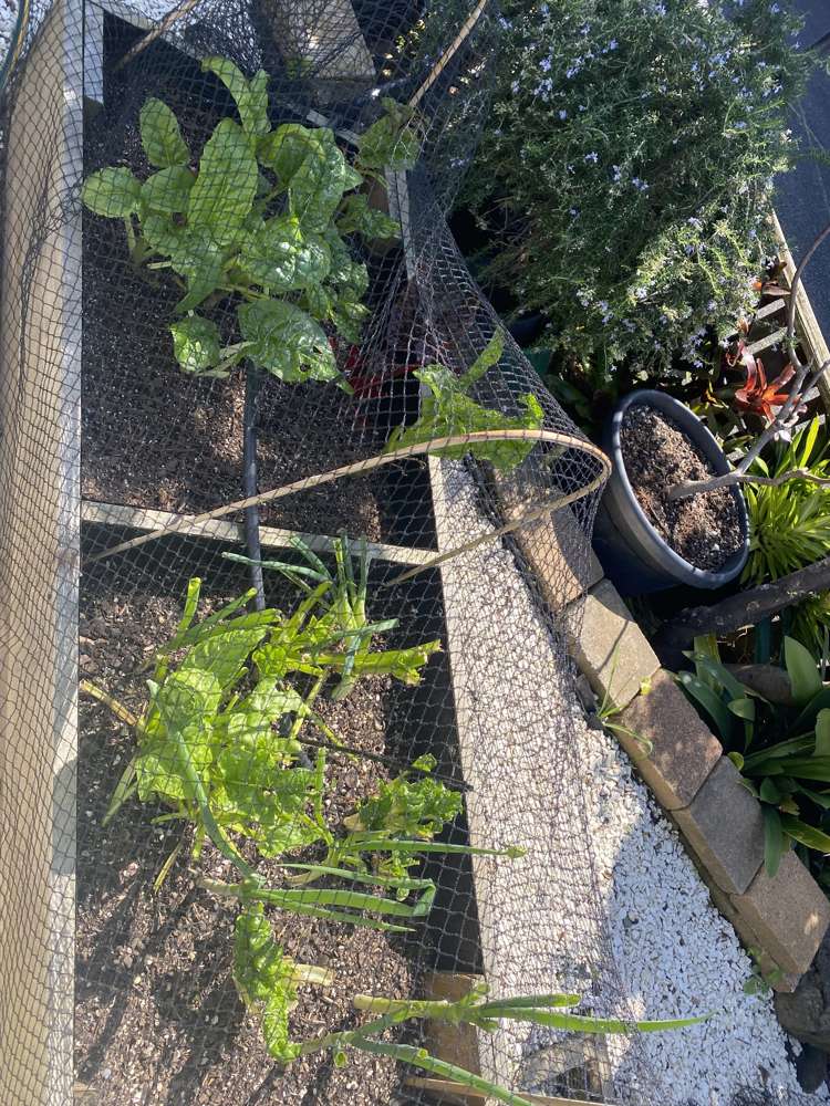 1/58 Takutai Avenue Half Moon Bay_31