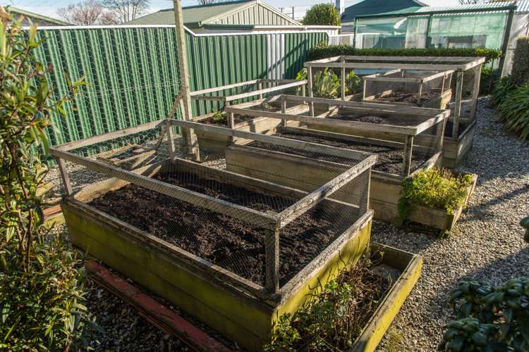 65 Northumberland Street Tapanui_19