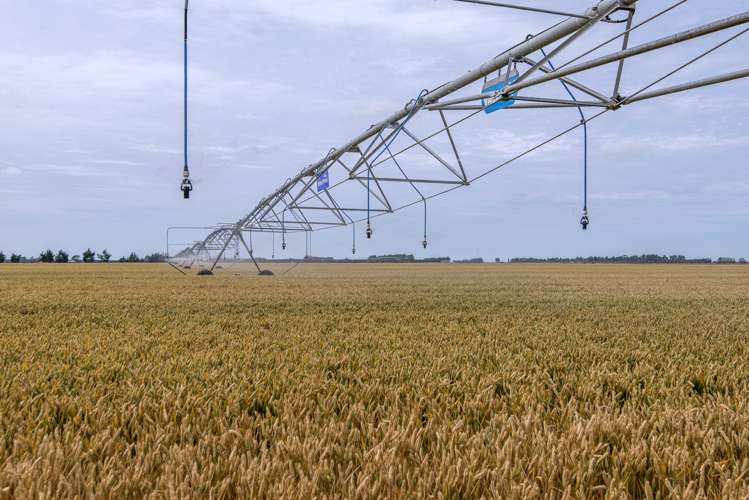 534 Winters Road Pendarves_5