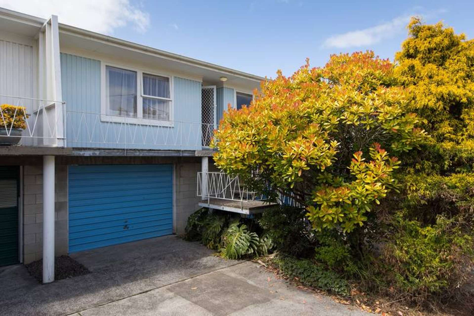 2/12 Kingsview Road Mount Eden_0