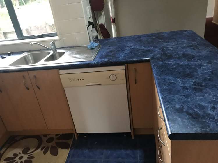 209 Te Irirangi Drive Flat Bush_6