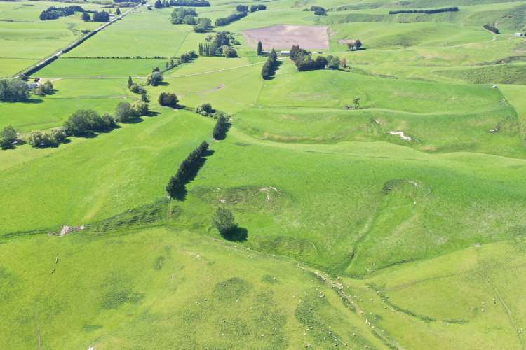 386 Otama Valley Road Gore Surrounds_6