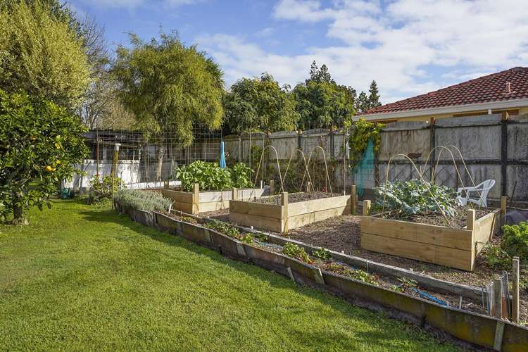 53 Knighton Road Hillcrest_14