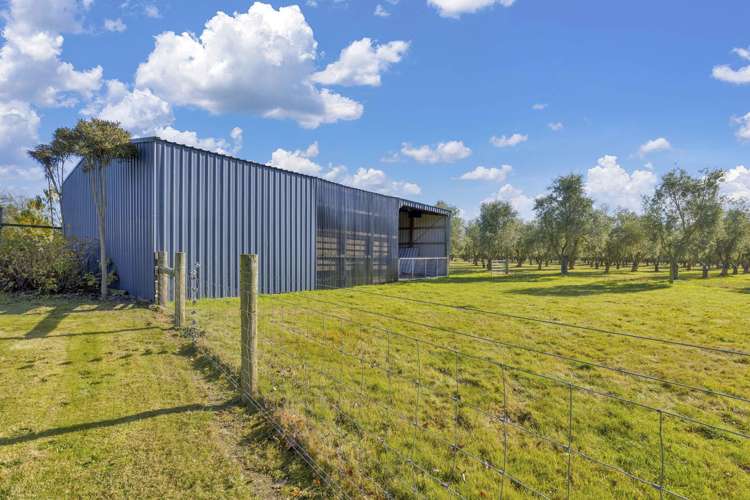 327 Georges Road Amberley_19