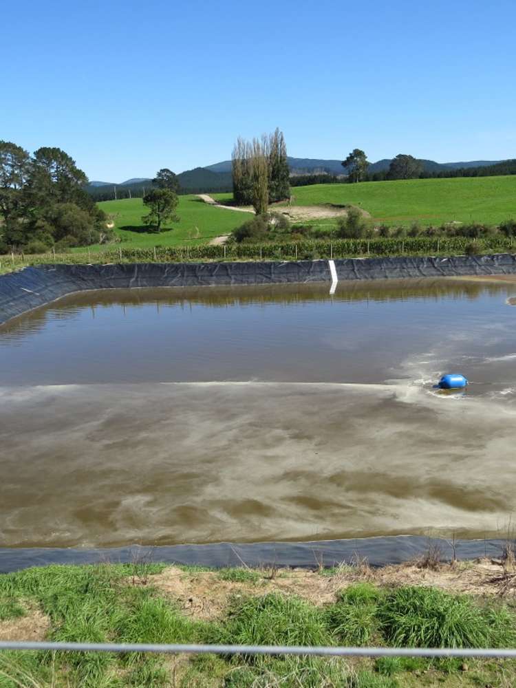 6261 State Highway 1 Kinleith_8