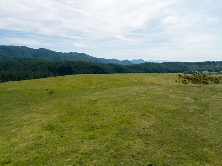 1584 Tadmor-Glenhope Road Tapawera_15