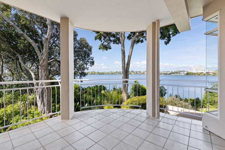 3/17a Fenwick Avenue Milford_9