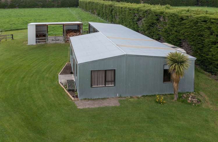 219 Amberley Beach Road Amberley_10