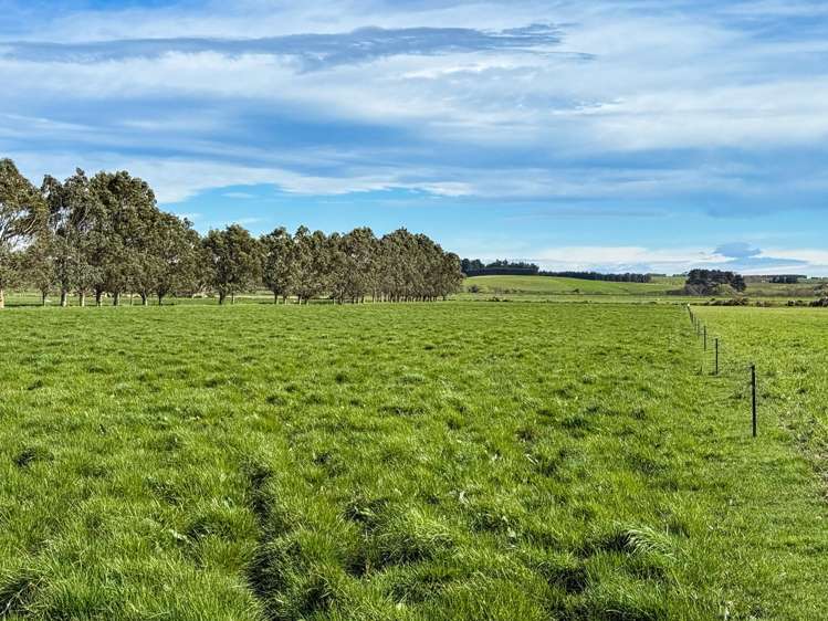 141 Mataura Island Titiroa Road Mataura Island_19