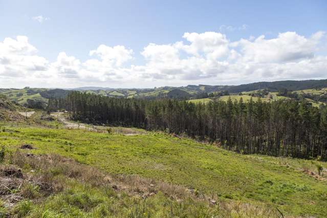 205 Wishart Road Helensville_3