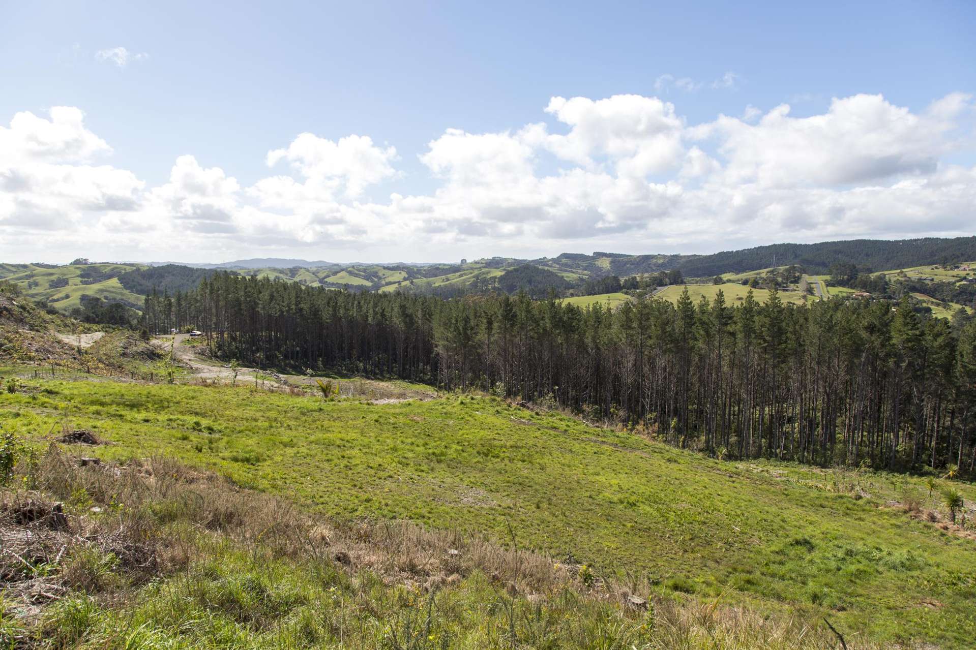 Lot 5/197 Wishart Road Helensville_0