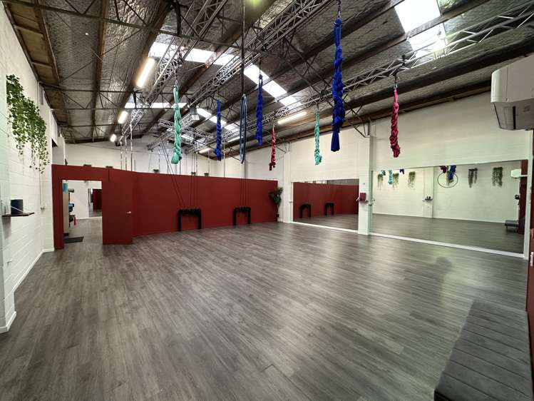 25 Carlyle Street Napier South_2