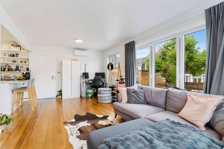 8B Campbell Road_4