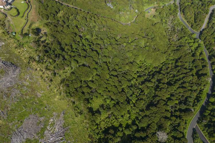 42 Radar Road Hot Water Beach_12