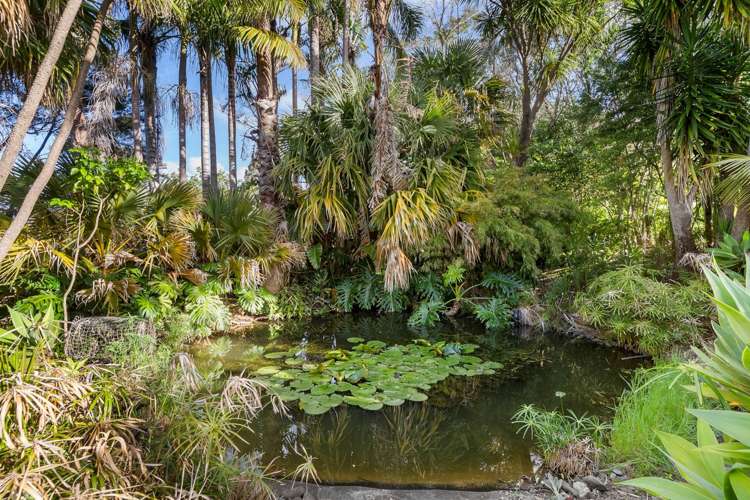 4 Point Street Scotts Landing_10