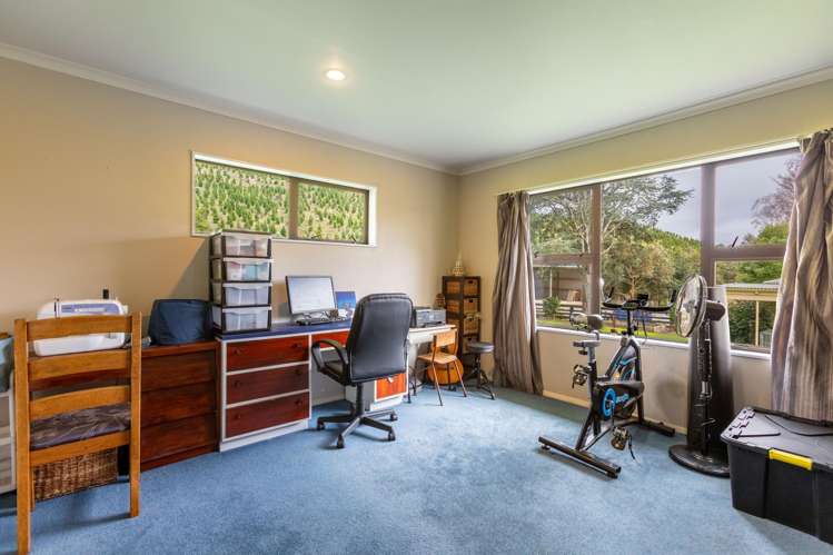 558 Pukeatua Road Dannevirke_22
