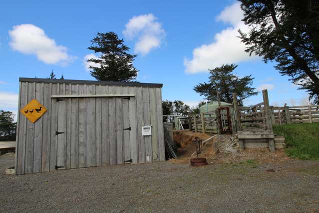 133 Colville Road Dargaville_3