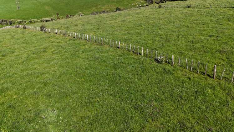 Lot 4 Whakataha Road Waimate North_5