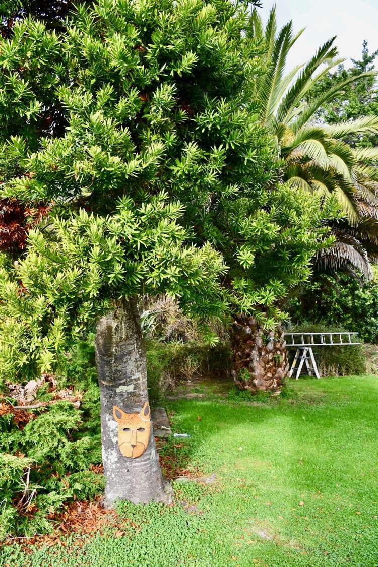 21 Glasseye Drive Little Wanganui_24