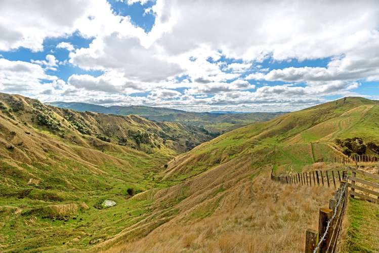 3643 Wharekopae Road Rere_7