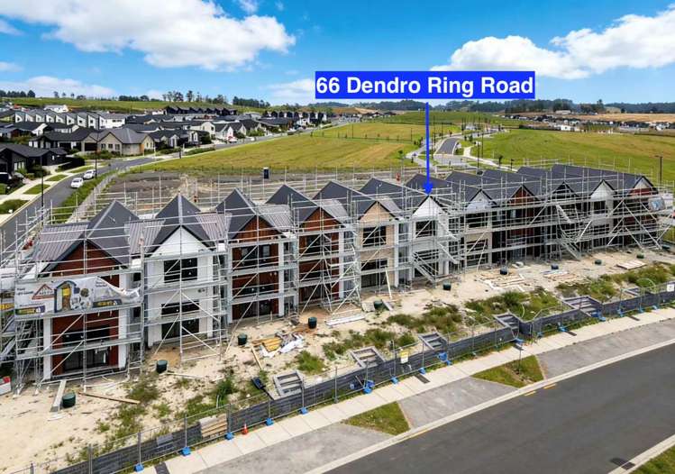 66 Dendro Ring Road_0