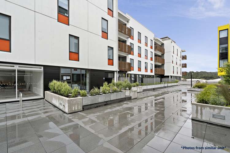 502/22 Library Lane Albany_12