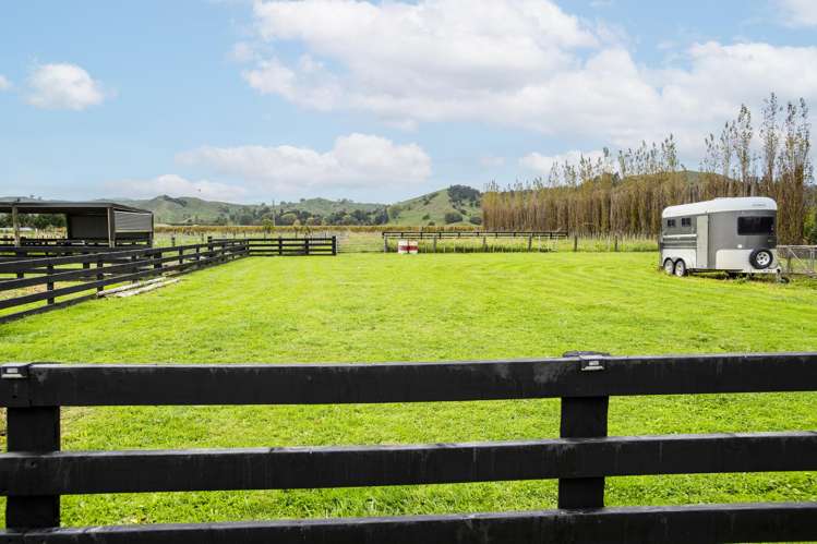 1290 Matawai Road Ormond_4