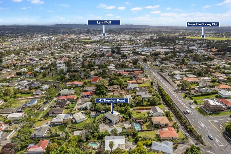 41 Tiverton Road Avondale_24