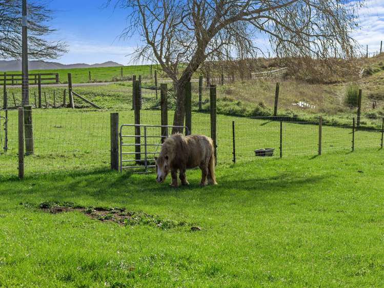 112 Grove Road Te Pahu_20