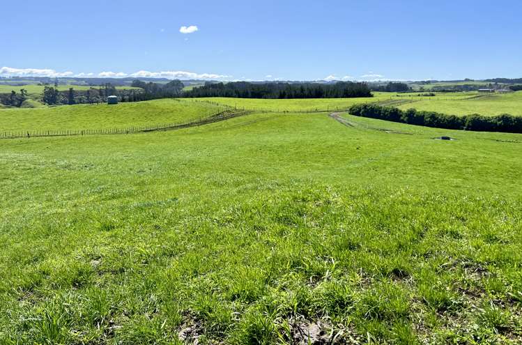 149 Paerewa Road Waverley_17