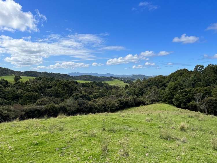 583 Lusk Road Ruawai_30