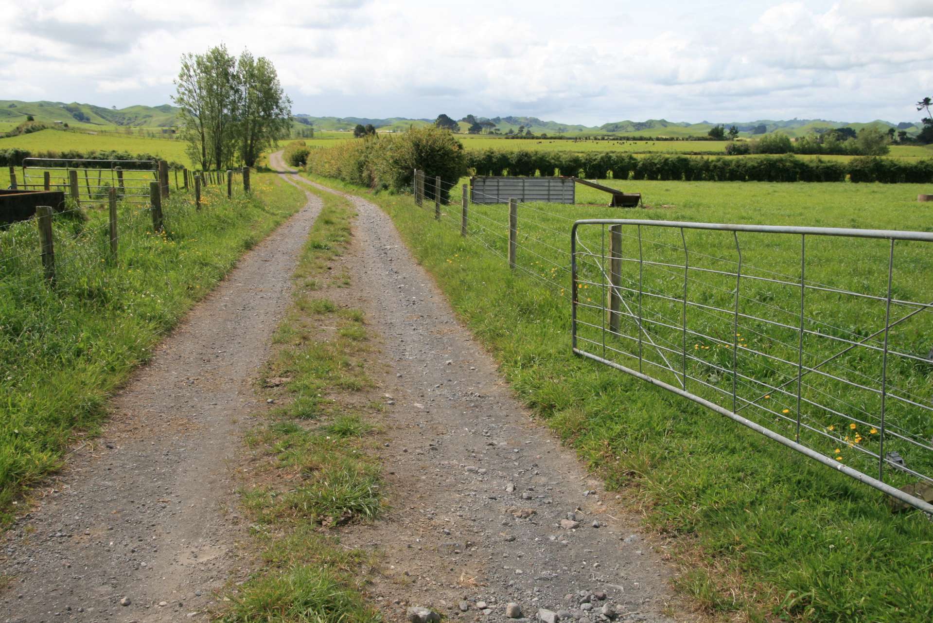 775 Bird Road Stratford_0