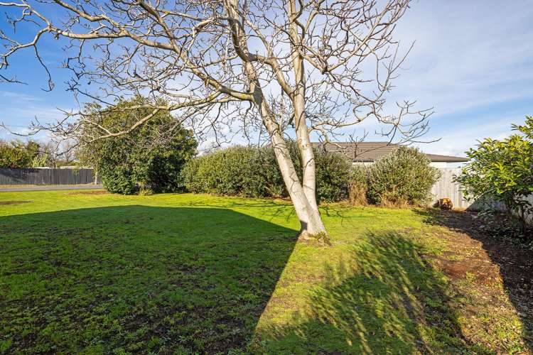 11 Brooklyn Road Carterton_8