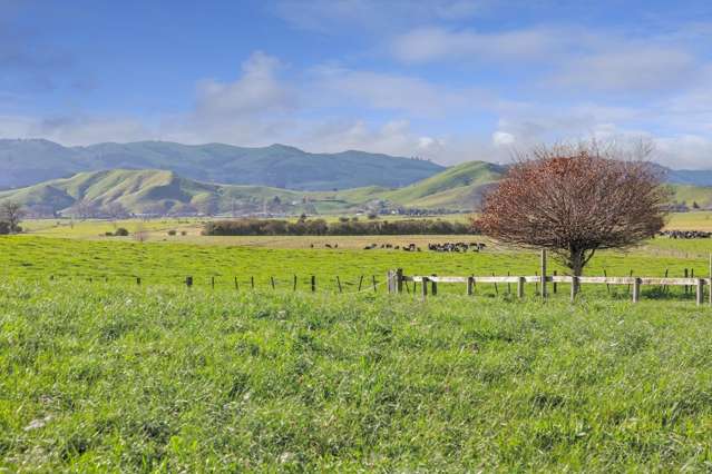 3074A Cambridge Road Cambridge_1